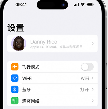 岳口镇appleID维修服务iPhone设置中Apple ID显示为灰色无法使用