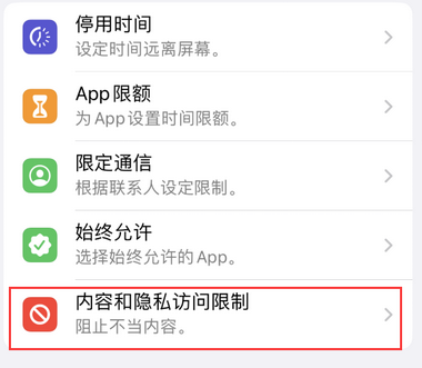 岳口镇appleID维修服务iPhone设置中Apple ID显示为灰色无法使用