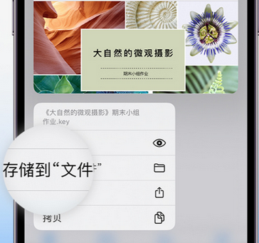 岳口镇apple维修中心分享iPhone文件应用中存储和找到下载文件