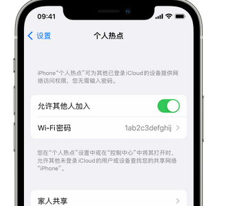 岳口镇apple服务站点分享iPhone上个人热点丢失了怎么办 