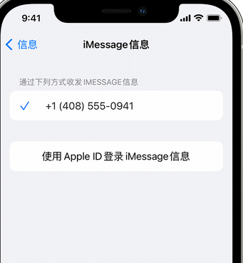 岳口镇apple维修iPhone上无法正常发送iMessage信息