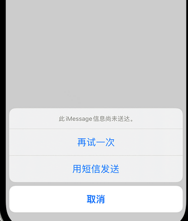 岳口镇apple维修iPhone上无法正常发送iMessage信息