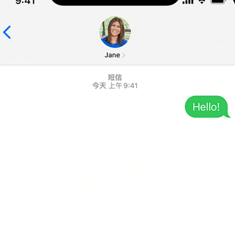 岳口镇apple维修iPhone上无法正常发送iMessage信息