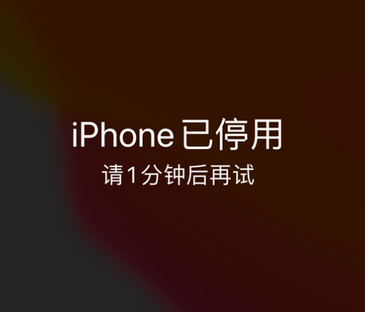 岳口镇苹果手机维修分享:iPhone 显示“不可用”或“已停用”怎么办？还能保留数据吗？ 