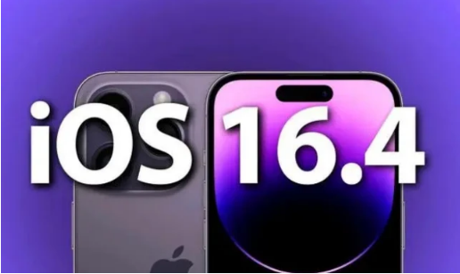 岳口镇苹果14维修分享：iPhone14可以升级iOS16.4beta2吗？ 