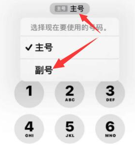 岳口镇苹果14维修店分享iPhone 14 Pro Max使用副卡打电话的方法 