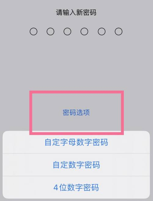 岳口镇苹果14维修分享iPhone 14plus设置密码的方法 