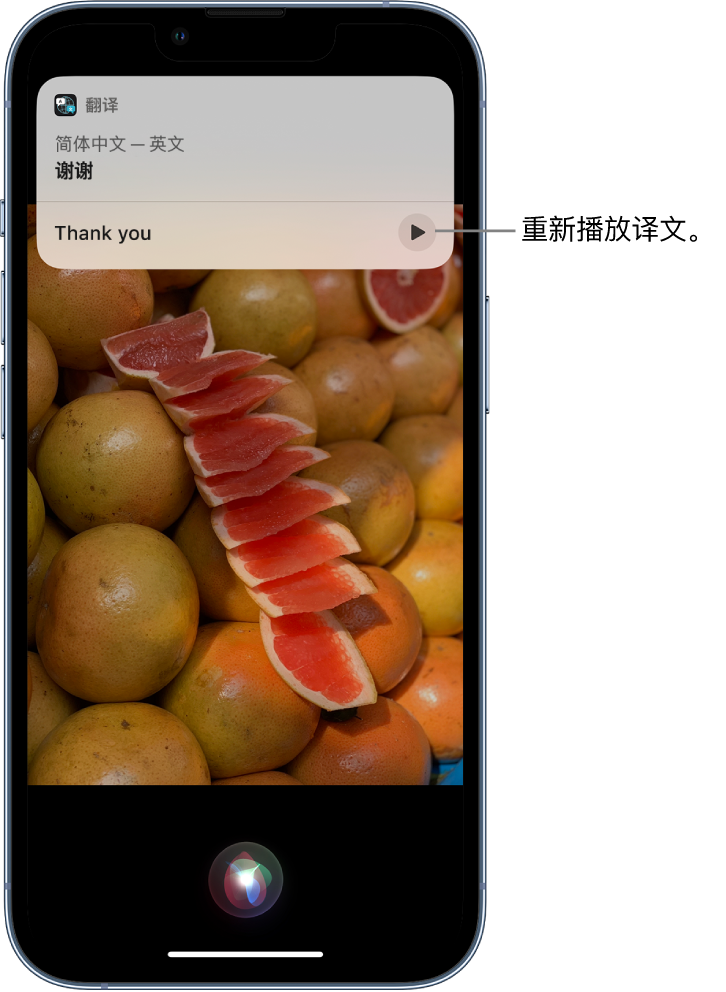 岳口镇苹果14维修分享 iPhone 14 机型中使用 Siri：了解 Siri 能帮你做什么 