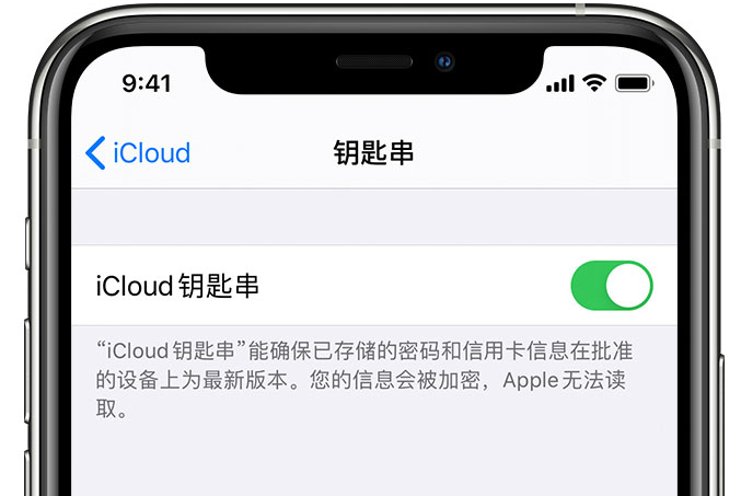 岳口镇苹果手机维修分享在 iPhone 上开启 iCloud 钥匙串之后会储存哪些信息 