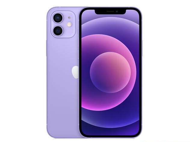 岳口镇苹果手机维修分享现阶段要不要入手紫色版iPhone12 